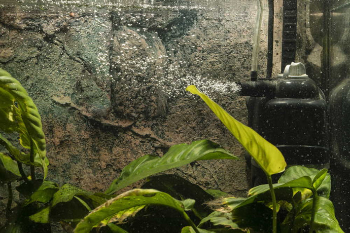 How to Slow the Flow in Your Aquarium