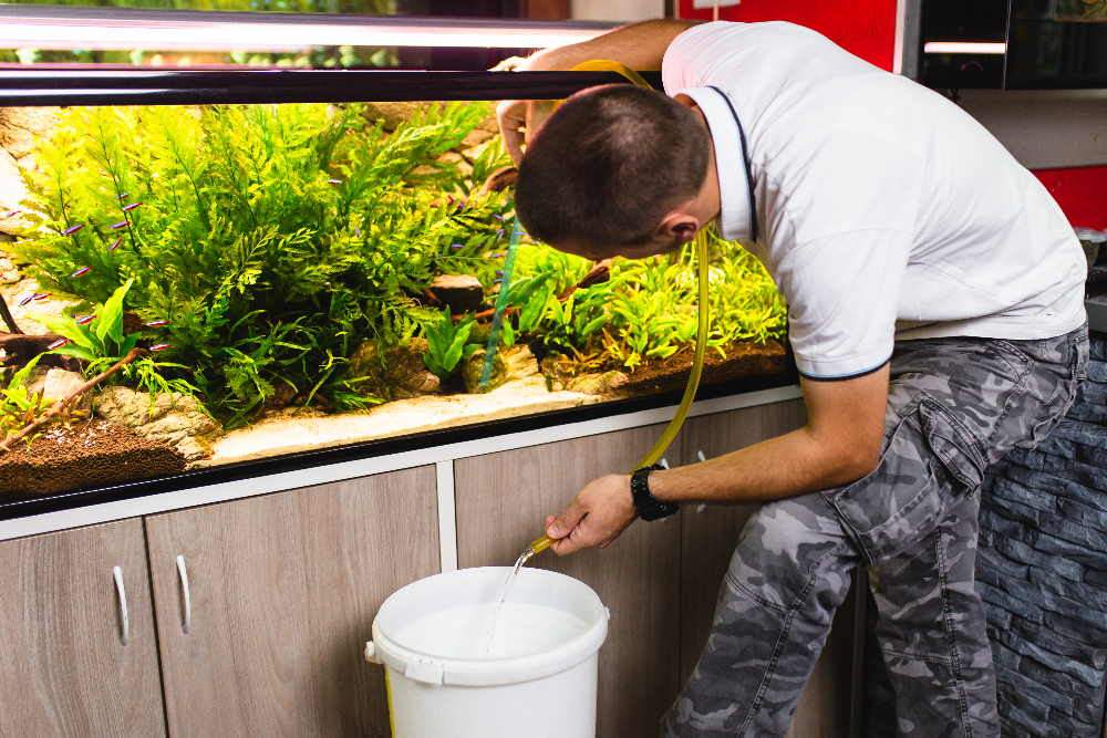 Water Filling Technique on Reverse Aquarium