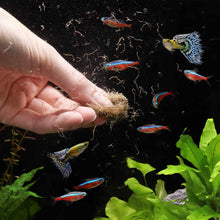 Load image into Gallery viewer, Aquarium Co-Op Fish Food 0.7 Ounces Aquarium Co-Op Freeze Dried Tubifex Worms