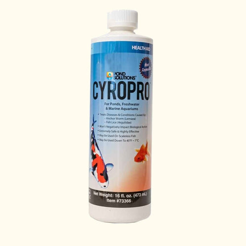 Hikari Medicine 16 Ounces CyroPro
