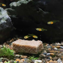 Load image into Gallery viewer, Repashy Fish Food 3oz Repashy Spawn and Grow