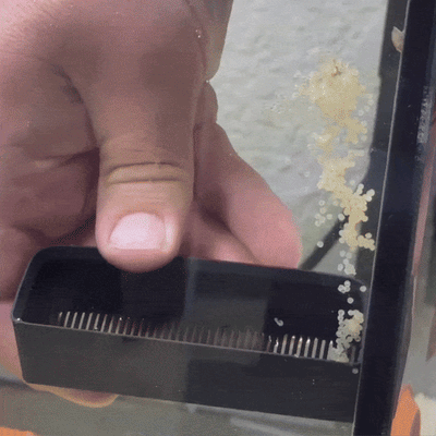 Eggscraper