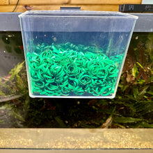 Load image into Gallery viewer, Aquarium Co-Op Rubber Bands (1lb bag)