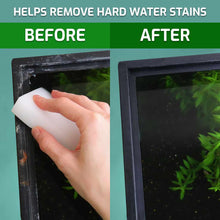 Load image into Gallery viewer, Ebay Cleaning Supplies Algae Scrubber (3-PACK)