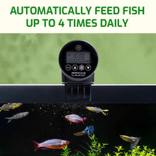 Load image into Gallery viewer, Aquarium Co-Op Fish Food Aquarium Co-Op Auto Feeder
