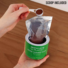Load image into Gallery viewer, Aquarium Co-Op Breeding Supplies Aquarium Co-Op Brine Shrimp Eggs
