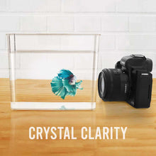 Load image into Gallery viewer, Aquarium Co-Op Breeding Supplies Aquarium Co-Op Tough Specimen Container