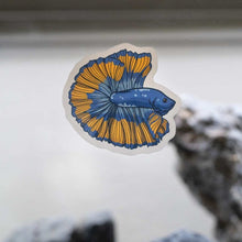 Load image into Gallery viewer, Aquarium Co-Op Merchandise Betta Decal
