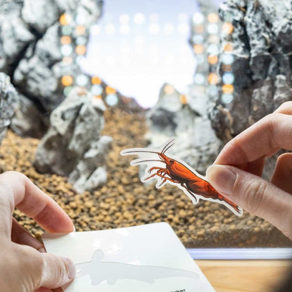 cherry-shrimp-decal-sticker-00810055290611-31465816883269