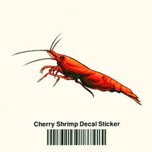 Load image into Gallery viewer, Aquarium Co-Op Merchandise Cherry Shrimp Decal Sticker