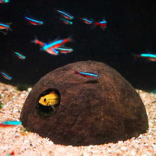 Load image into Gallery viewer, Custom Breeding Supplies Coconut Hut