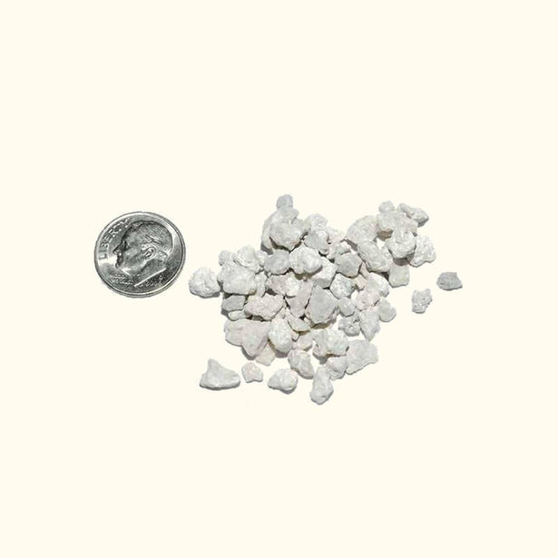 crushed-coral-1-pound-810055291441-31666970361925