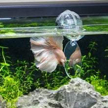 Load image into Gallery viewer, Central Pet Breeding Supplies Floating Betta Exercise Mirror
