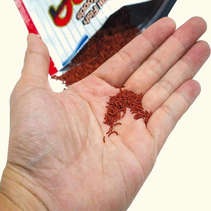 hikari-vibra-bites-31666979700805