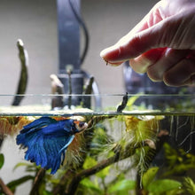 Load image into Gallery viewer, Hikari Fish Food Hikari Vibra Bites