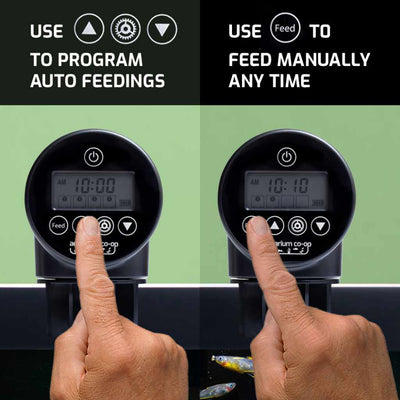 small_auto_feeder_buttons