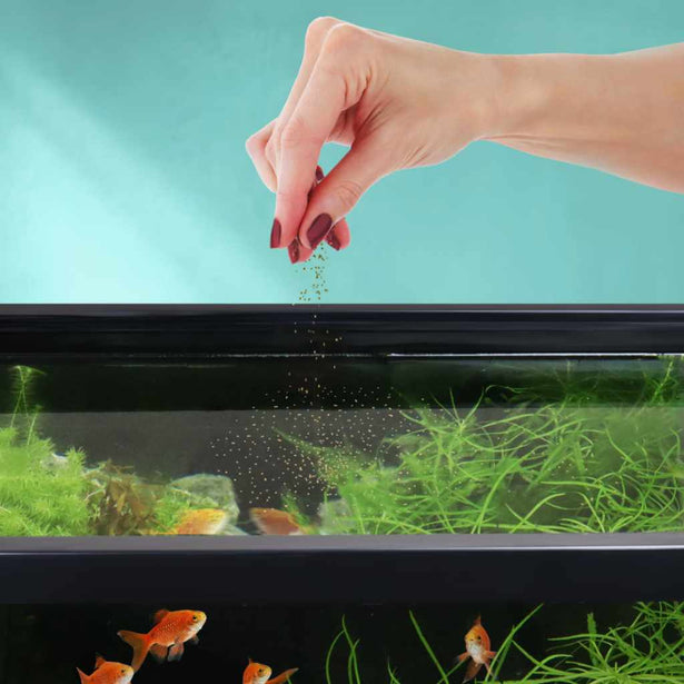 small_easy_community_floating_pellet_sprinkle_in_tank_w_barbs