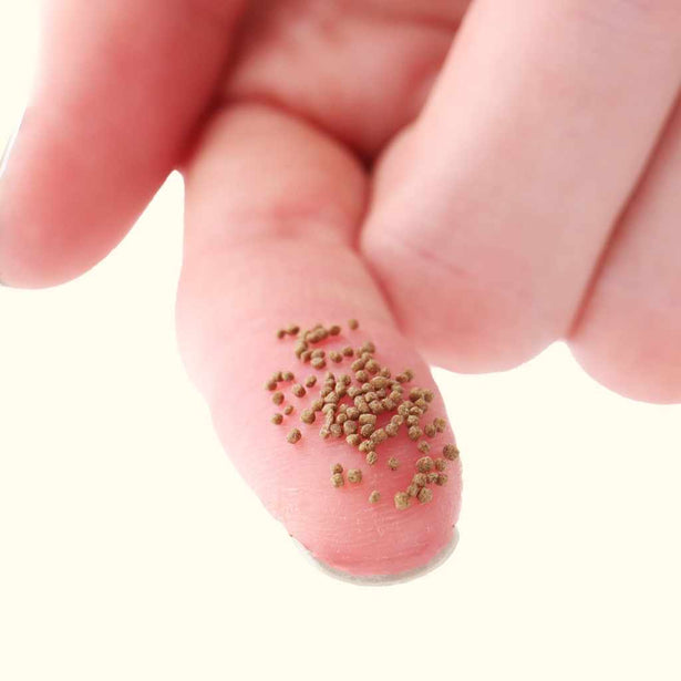 small_easycommunityfloatingpellet_fingercloseup