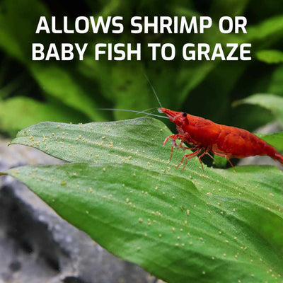 small_magic_nano_feed_cover_surface_shrimp_text