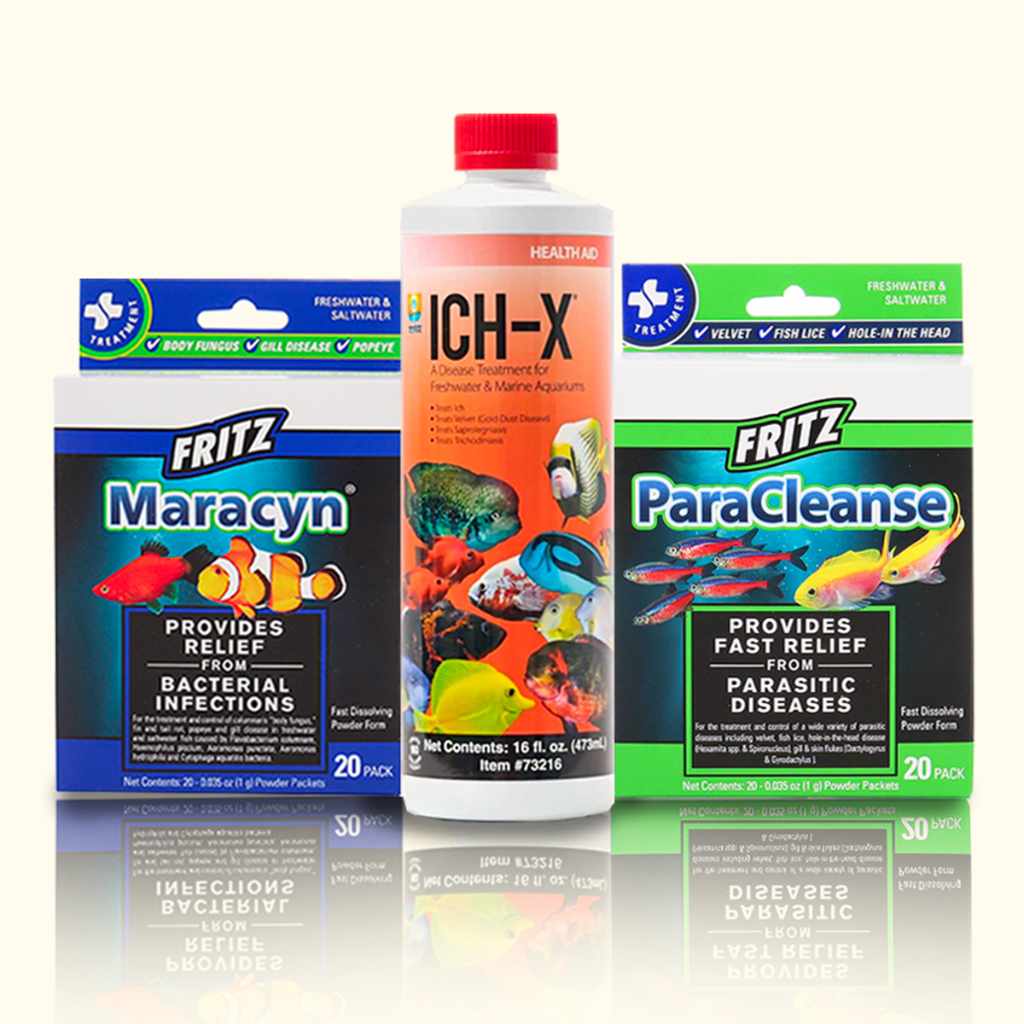 The Med Trio Aquarium CoOp