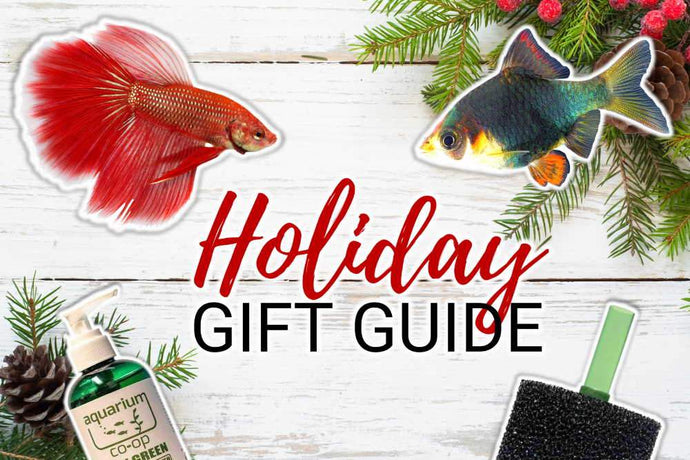 10+ Holiday Gift Ideas for Your Favorite Fish Keeper