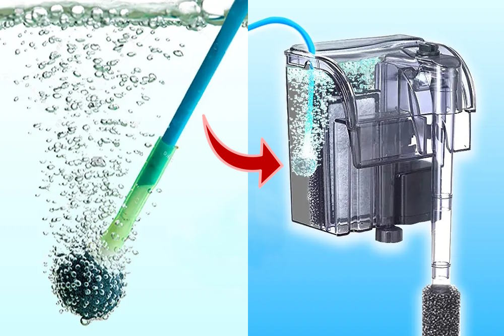 5 Quick and Easy Tricks to Improve Your Aquarium Filter - Aquarium Co-Op