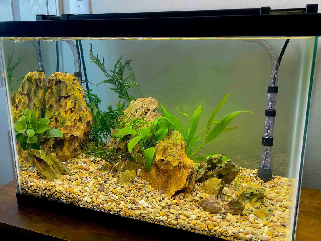 Undergravel Filters: Classic Simple Filtration