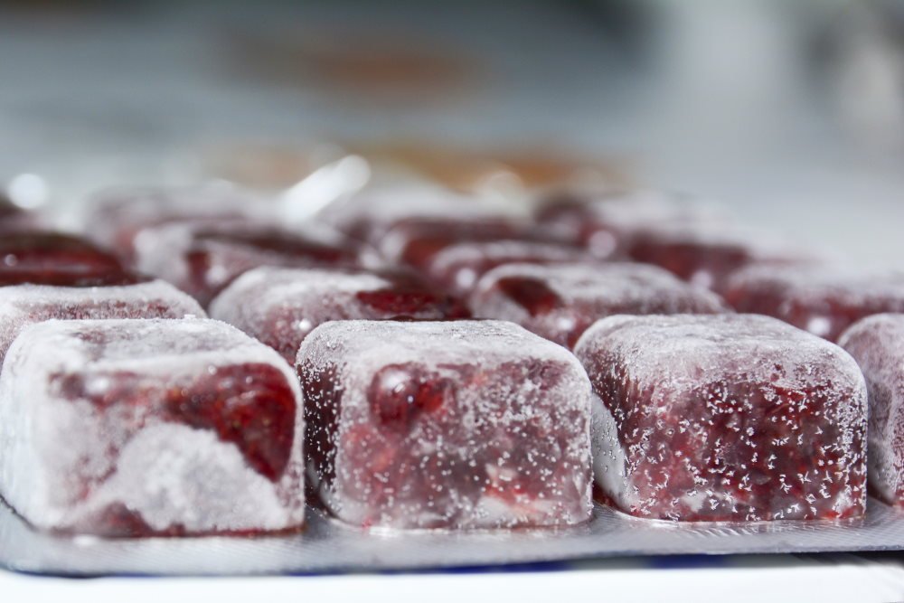 how-to-feed-frozen-fish-food-to-your-aquarium-415038