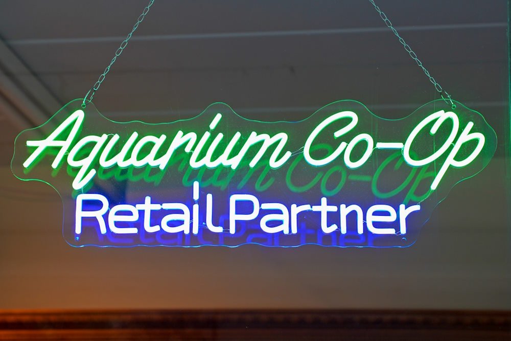 how-to-join-the-aquarium-co-op-wholesale-program-5536183