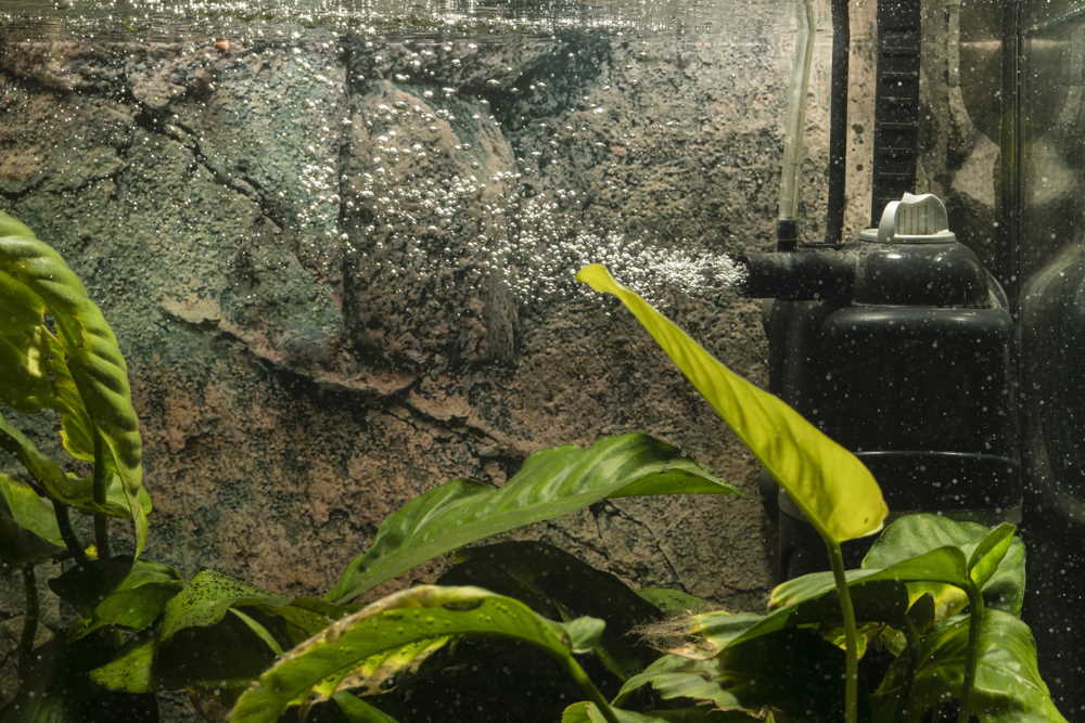 how-to-slow-the-flow-in-your-aquarium-7669125