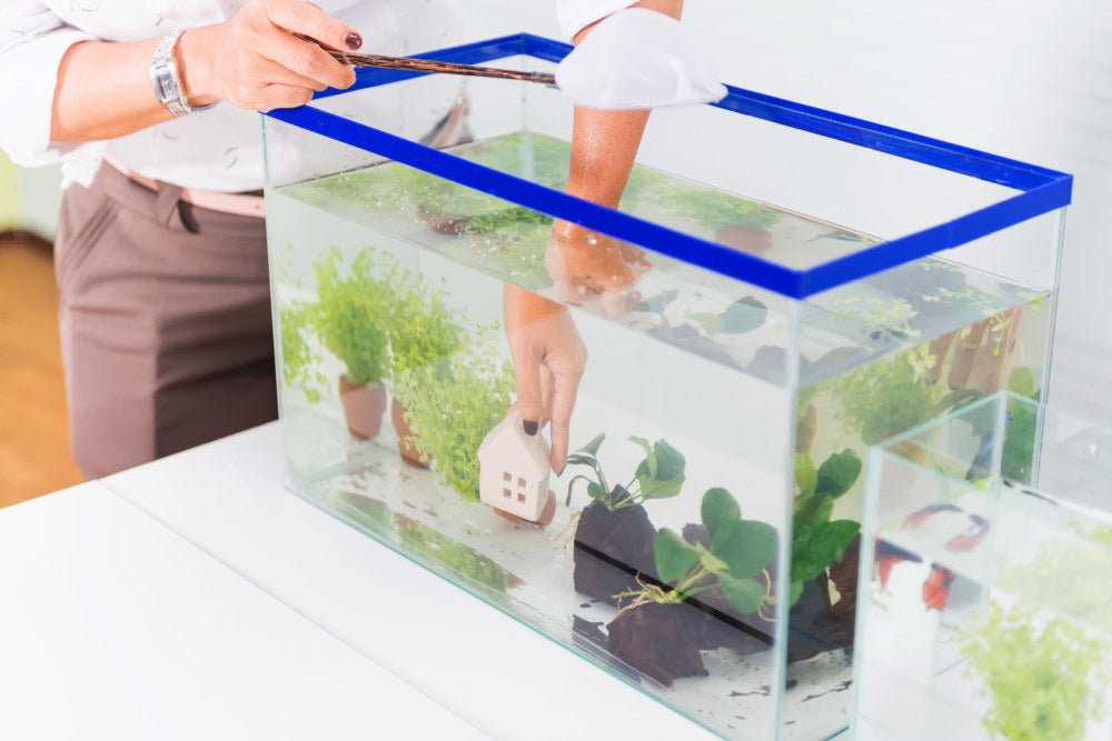 New Fish Checklist: How To Set Up A Fish Tank For Beginners â€“ Aquarium Co-Op
