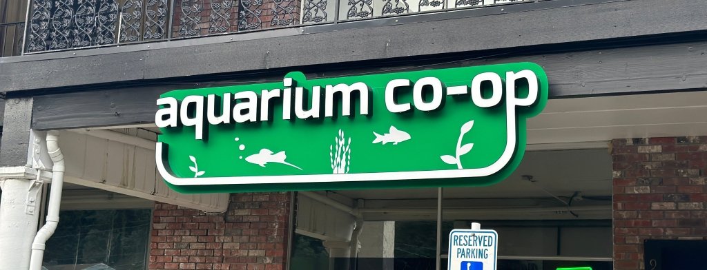 New Gobies and More at Aquarium Co-Op This Week! - Aquarium Co-Op