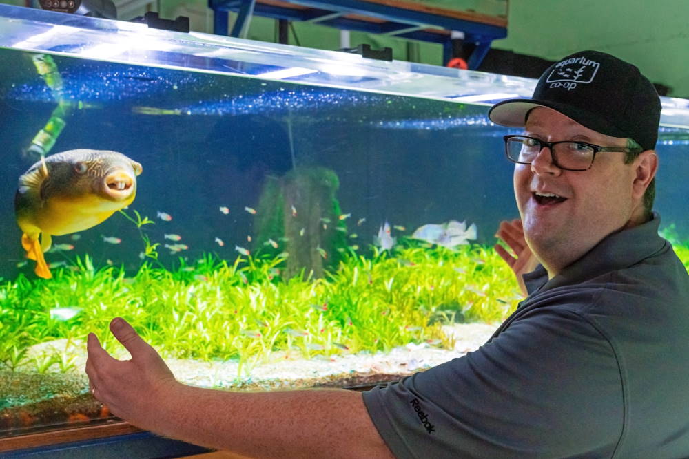 Staff Picks: 10 Perfect Gifts for the Aquarium Co-Op Enthusiast - Aquarium Co-Op
