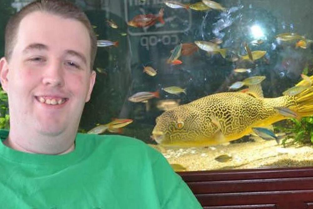 Tetraodon MBU - The Under Water Giant Puppy - Aquarium Co-Op