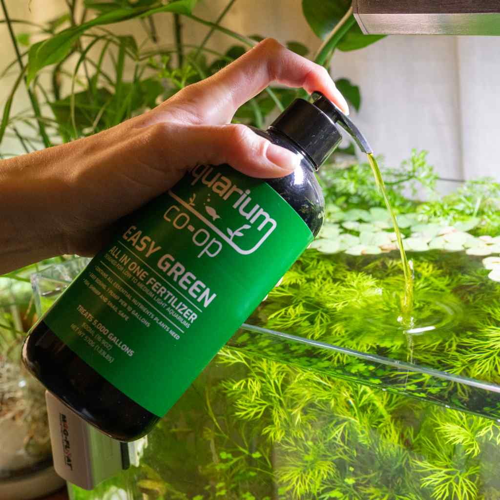 Why is Easy Green raising my nitrate level? - Aquarium Co-Op