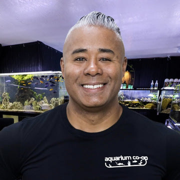 Zenzo Tazawa | Director of Company Culture and Teams - Aquarium Co-Op