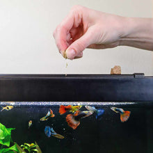 Load image into Gallery viewer, Aquarium Co-Op Fish Food 0.7 Ounces Aquarium Co-Op Freeze Dried Brine Shrimp Cubes
