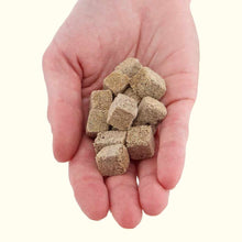 Load image into Gallery viewer, Aquarium Co-Op Fish Food 0.7 Ounces Aquarium Co-Op Freeze Dried Tubifex Worms
