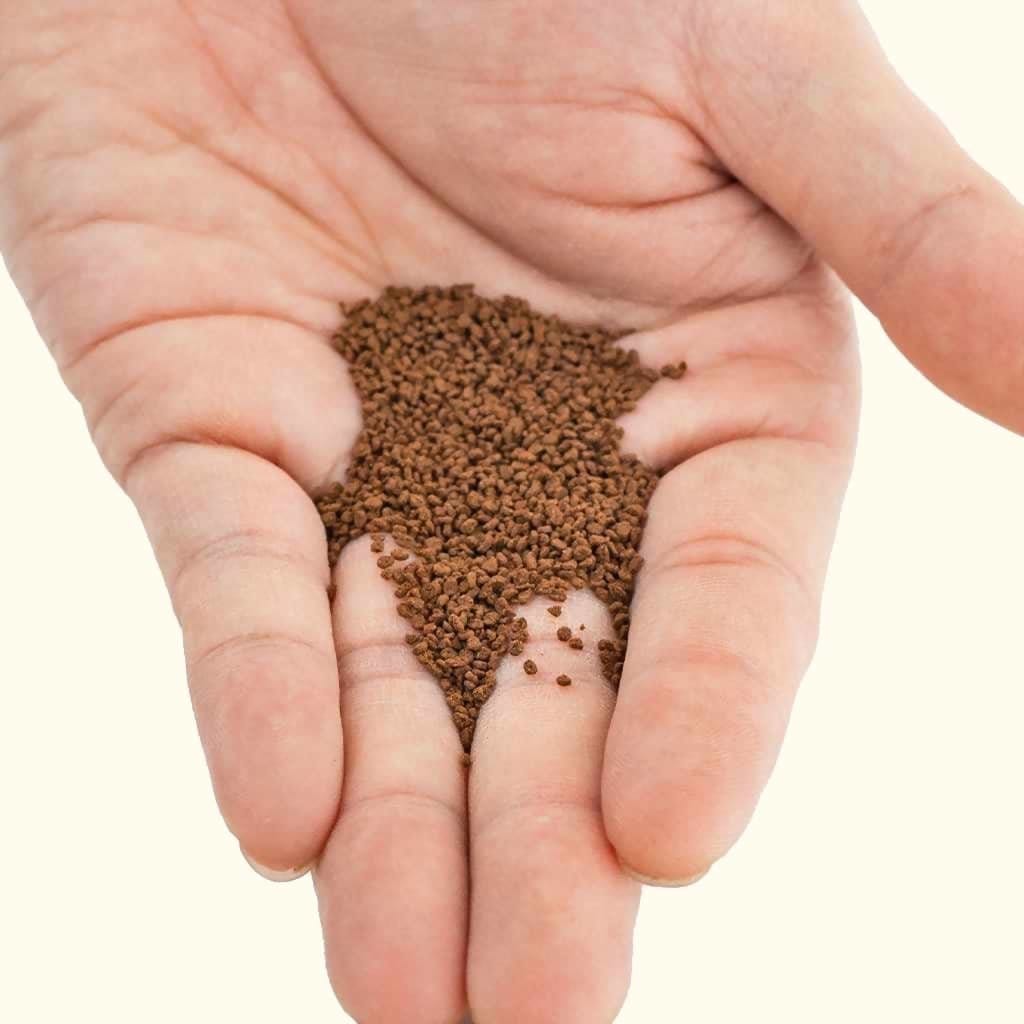 Hikari Discus BioGold Discus Food Aquarium Fish Food Aquarium CoOp