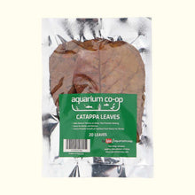 Load image into Gallery viewer, 20 Catappa Leaves - Aquarium Co - Op
