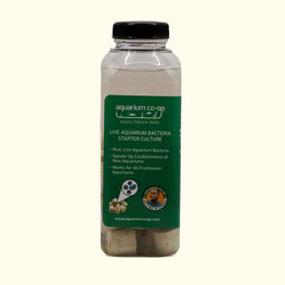 9AD31D6C-7CBB-4E4E-A647-B8F7AD901FE8