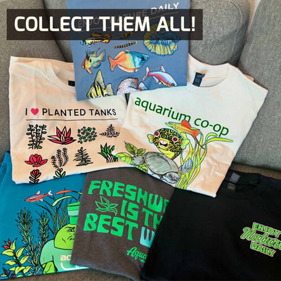 COLLECT_THEM_ALL_compressed