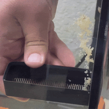 Load image into Gallery viewer, Corydoras Egg Collector
