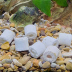 Live Aquarium Bacteria Starter Culture