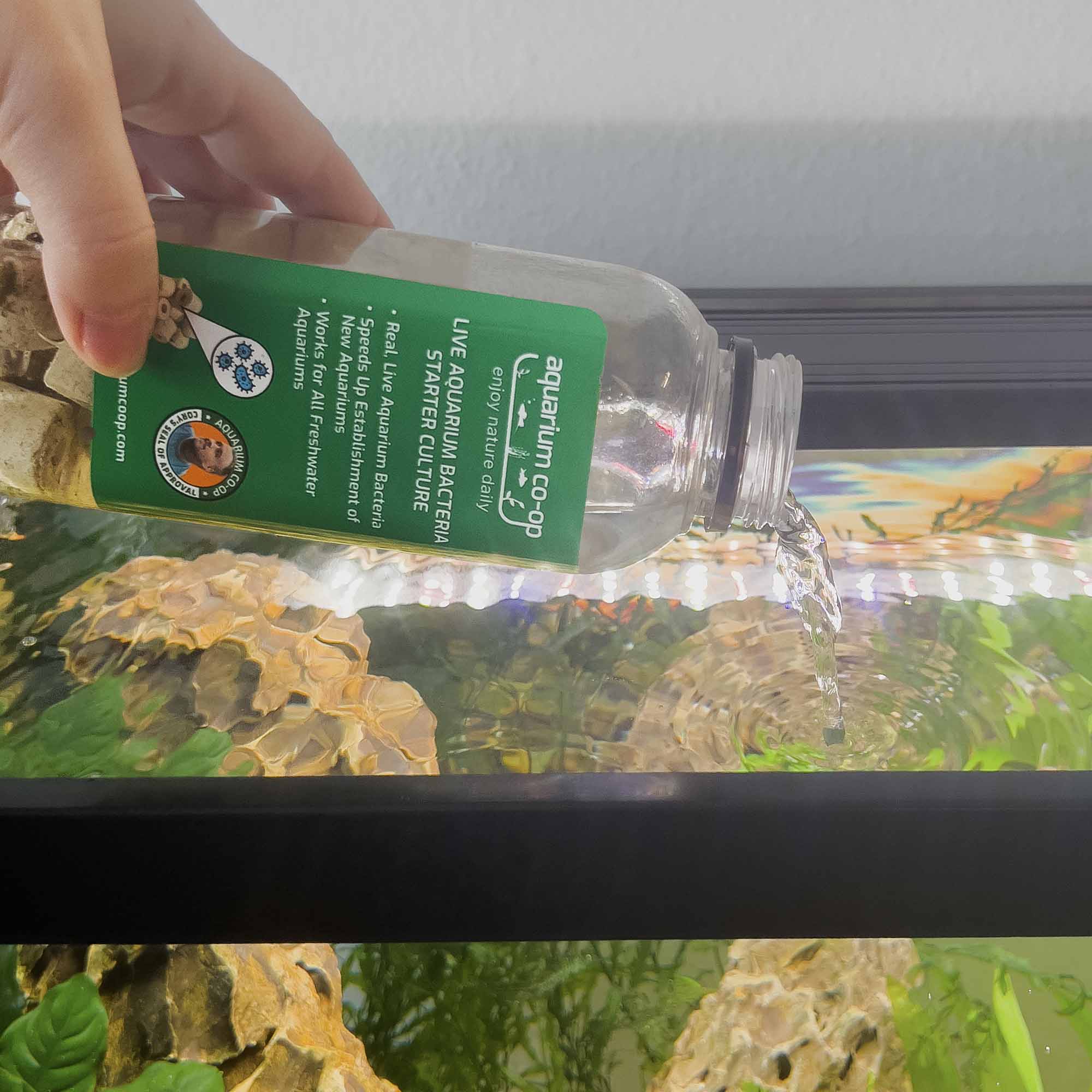 Live Aquarium Bacteria Starter Culture