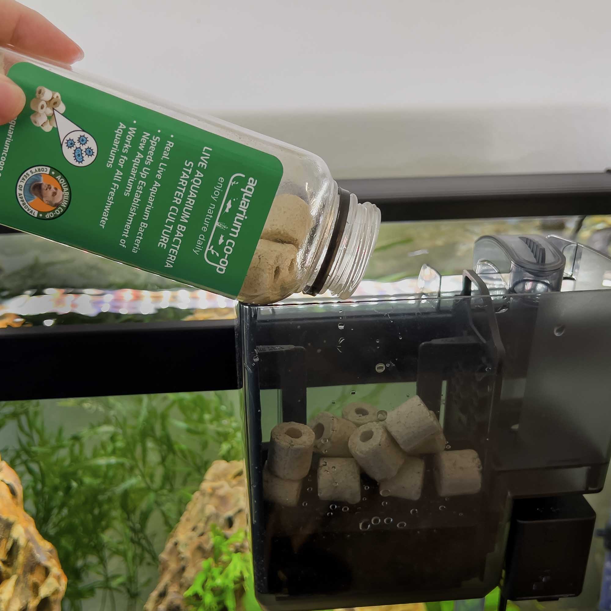 Live Aquarium Bacteria Starter Culture