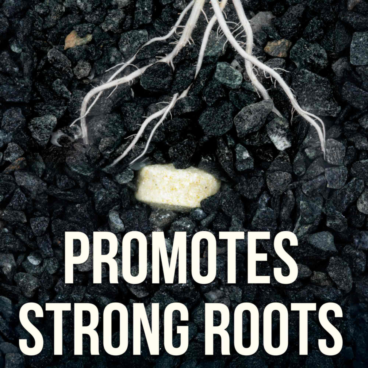 Easy Root Tabs | Aquarium Plant Fertilizer Made of Enriched Soil ...