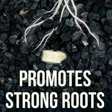 Load image into Gallery viewer, Easy Root Tabs
