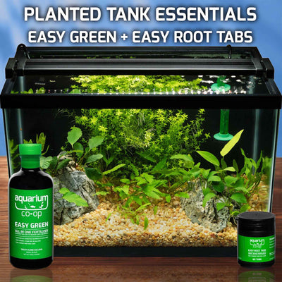 Root_tabs_and_easy_green_compressed