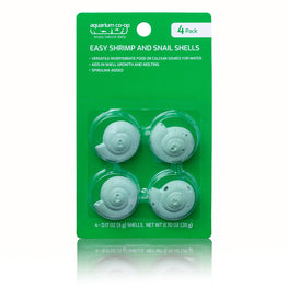 Snail_Shell_1